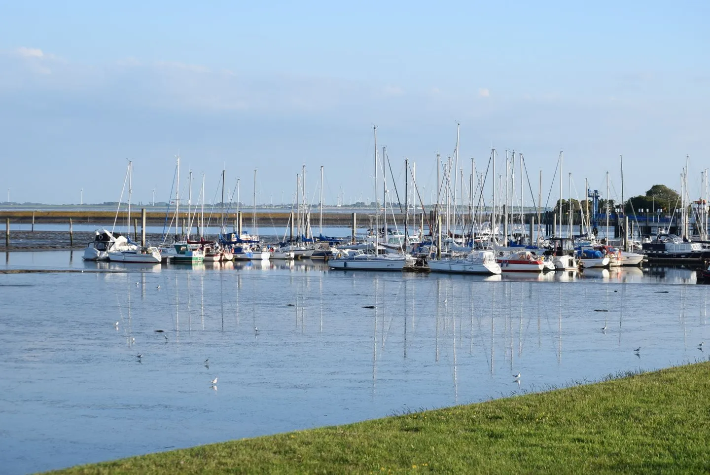 Friesengut BÖLTS im Friesengut  -