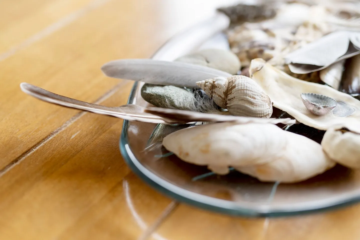 FREESENHOFF Freesenhoff -OFDAK-  -