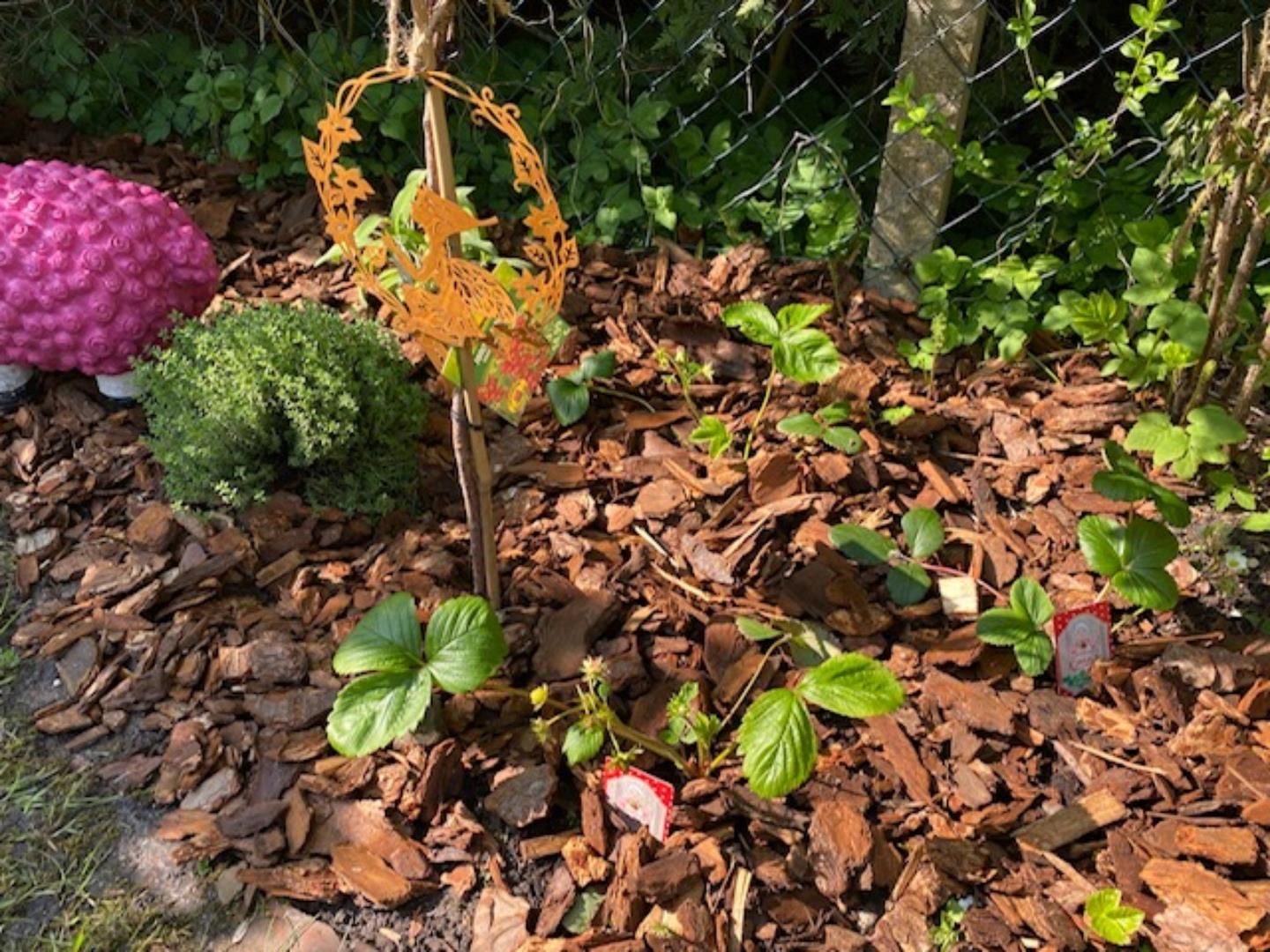  Ferienhaus Harlehus Pumphusen 15 Carolinensiel - 