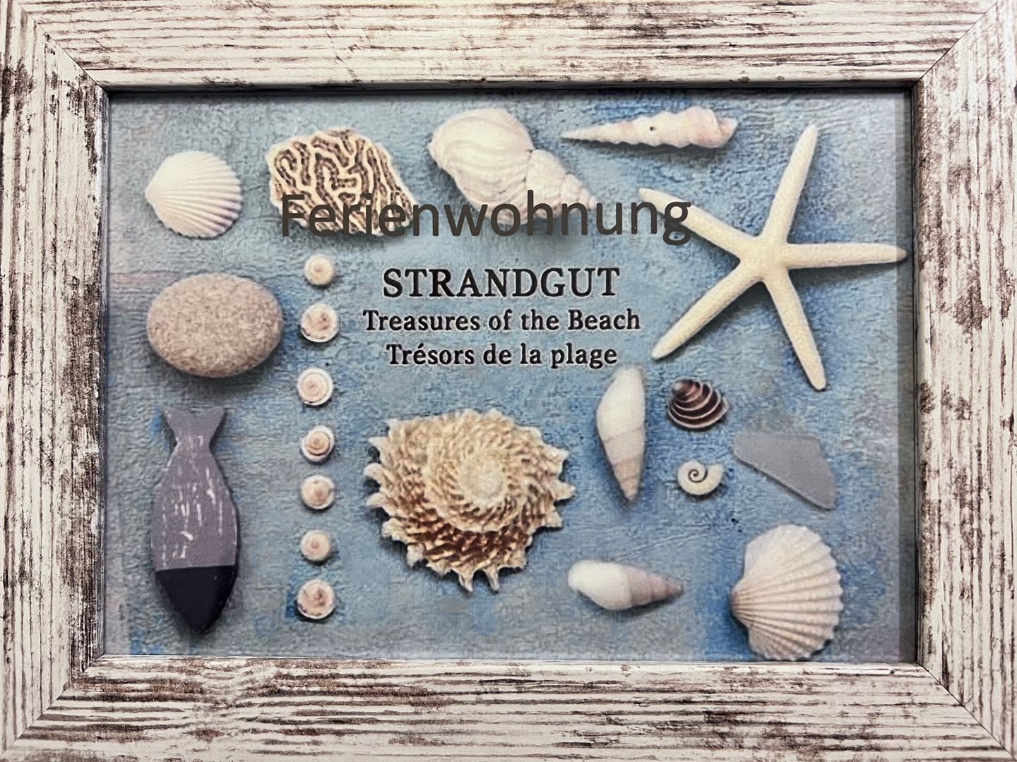 Fewo Strandgut Dahme - Dekoratives Detail