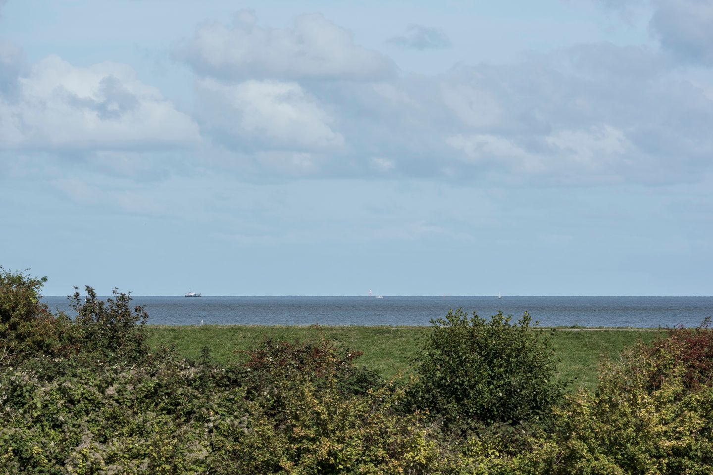 NordseeResort Friesland Ferienhäuser NordseeResort Friesland 38 Schillig - Landschaft