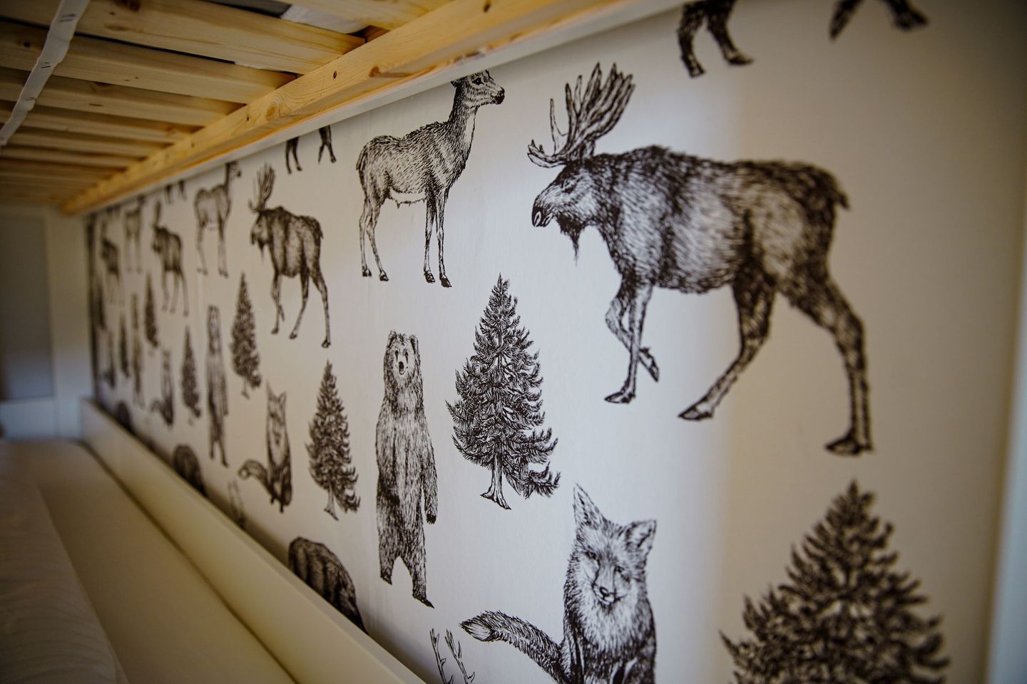 Gebirgsresort Ferienwohnung 3.2.3 Winterberg - 