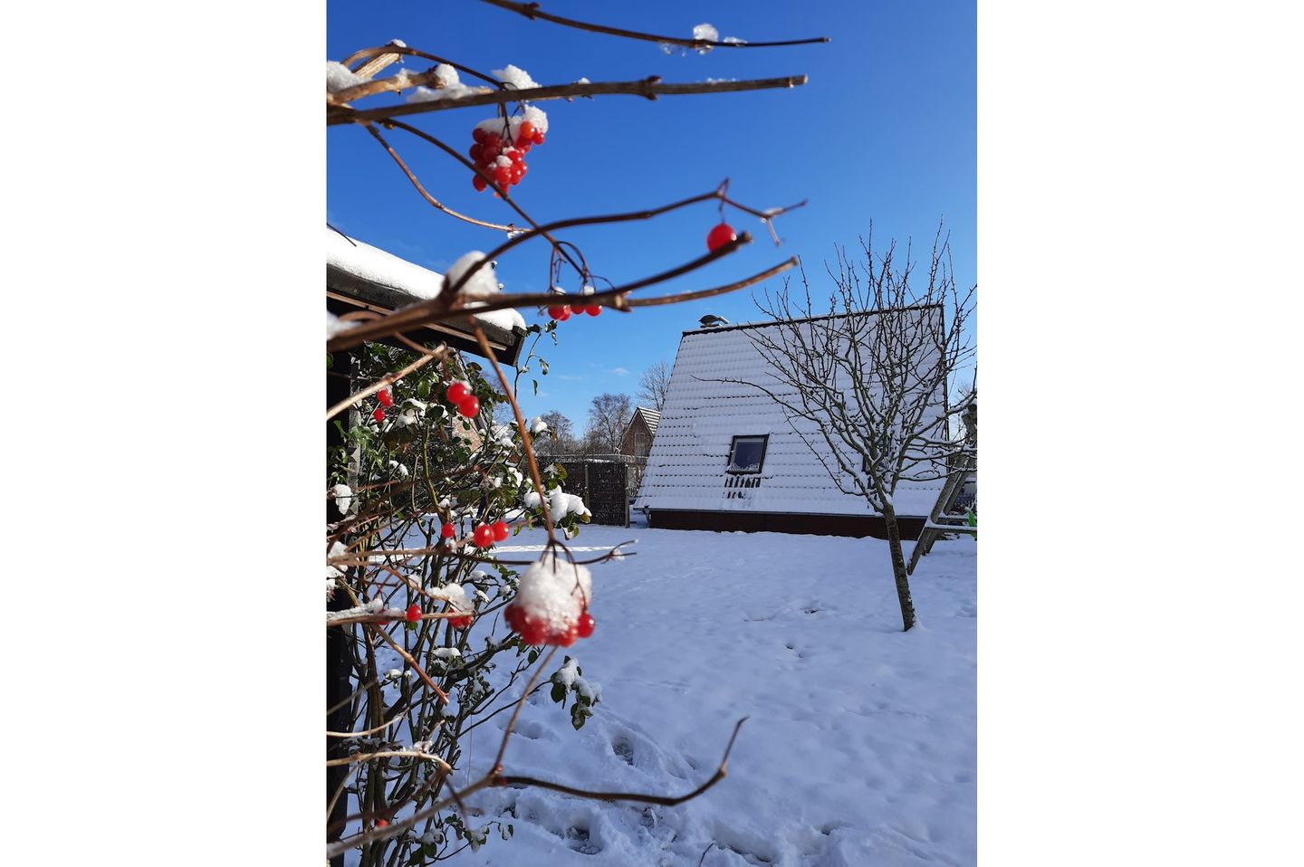  Ferienhaus Baust Neuharlingersiel - 