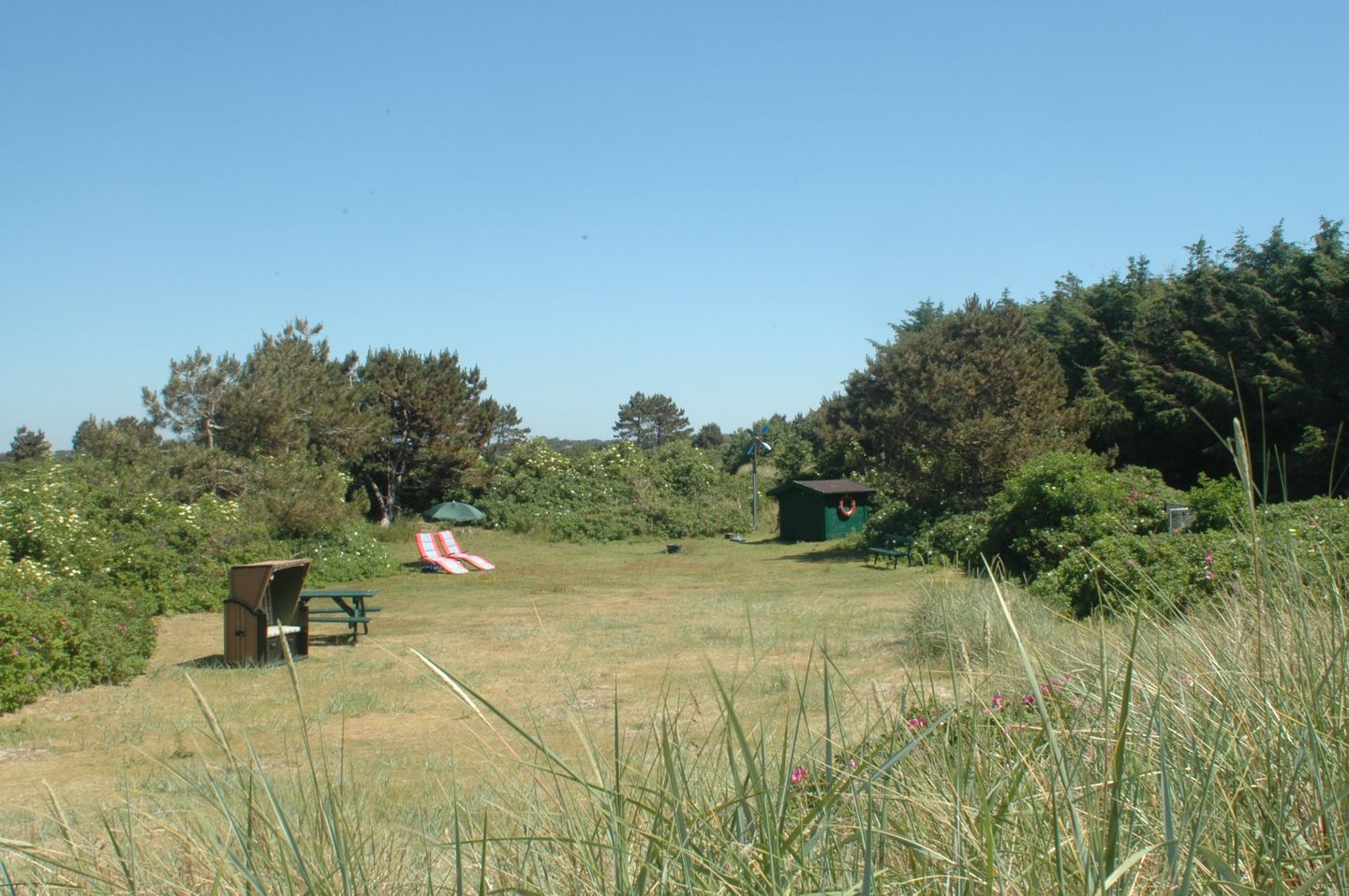 Haus Dorfschmiede Whg. Seestern Alkersum - Landschaft