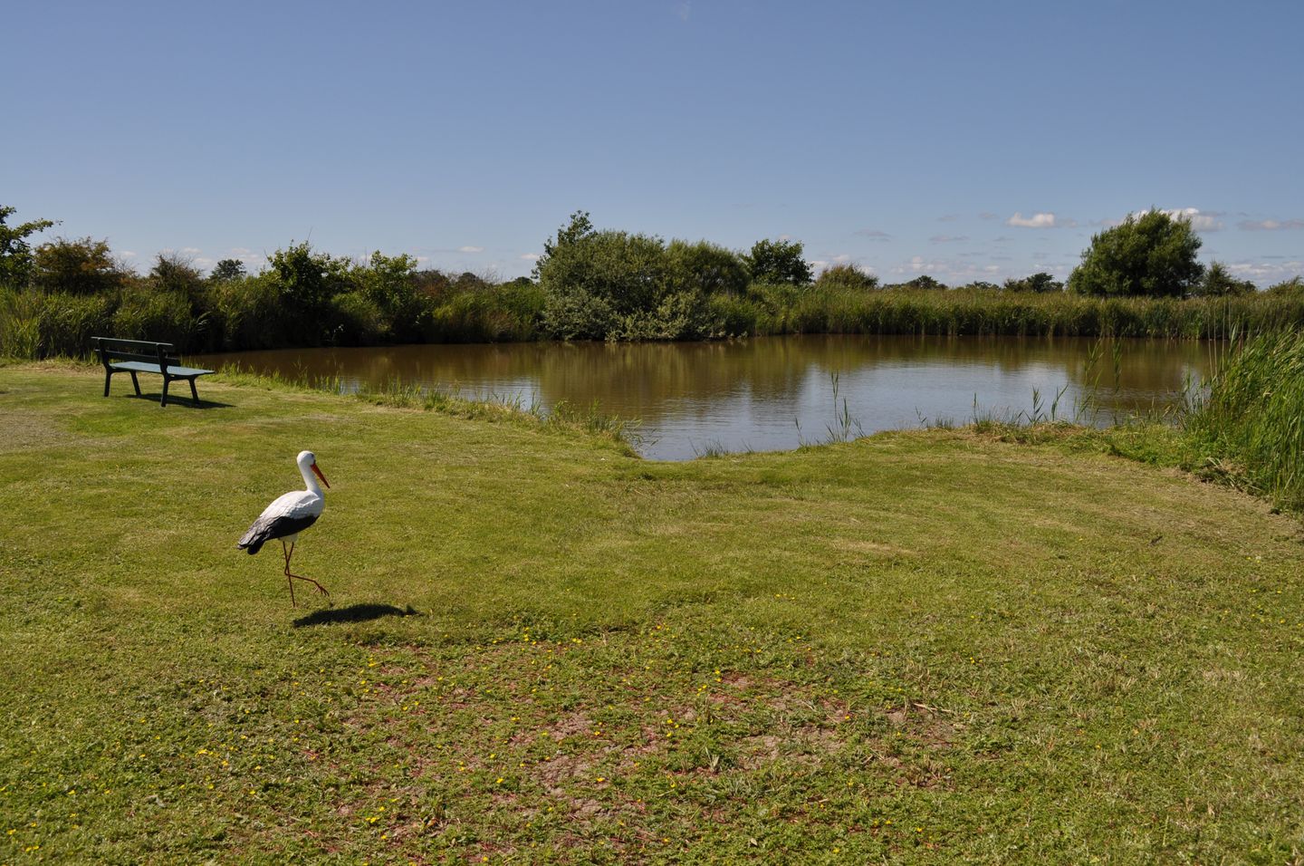 Schwalbennest Wyk auf Föhr - Sport / Aktivitäten