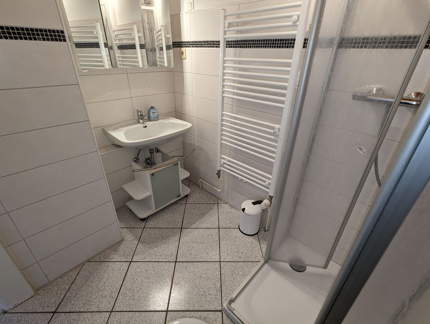 Haus Dorfschmiede Whg. Seestern Alkersum - Badezimmer