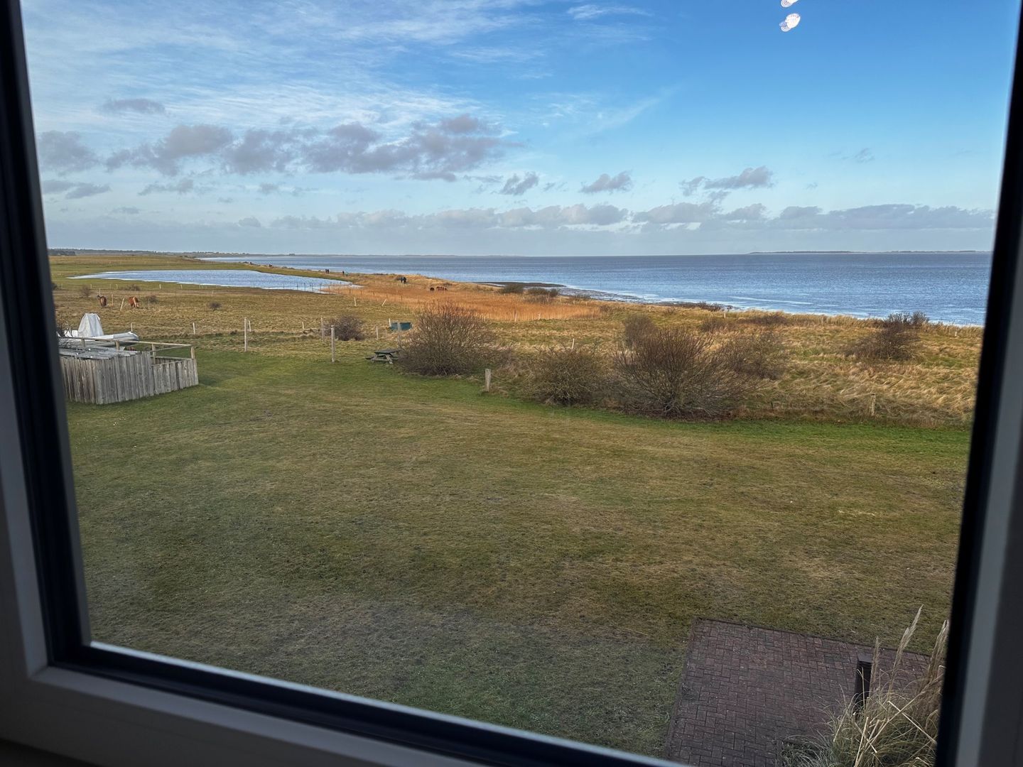 Haus Waasfrees Ferienwohnung Oland mit einmaliger Wattlage. Steenodde auf Amrum - 