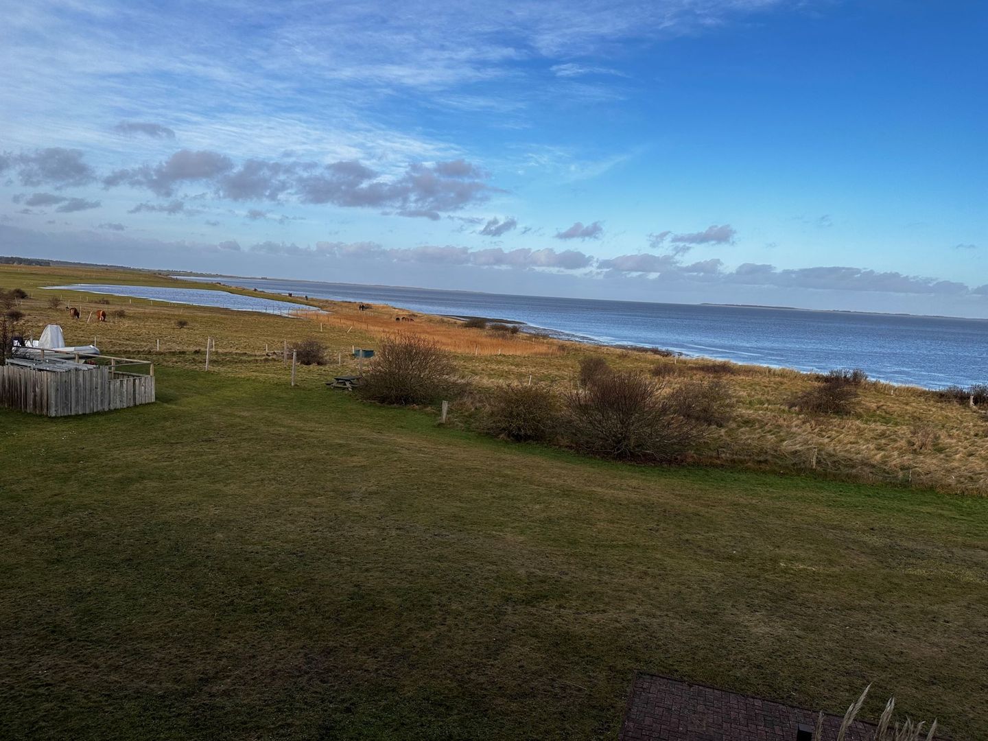 Haus Waasfrees Ferienwohnung Oland mit einmaliger Wattlage. Steenodde auf Amrum - 