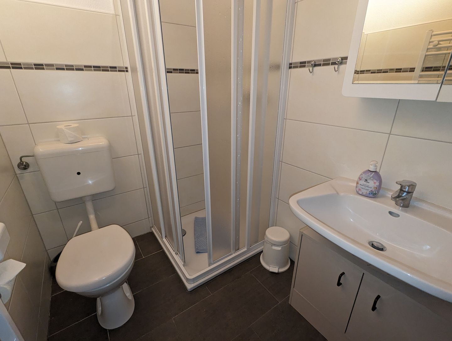 Haus Dorfschmiede Whg. Seehund Alkersum - Badezimmer