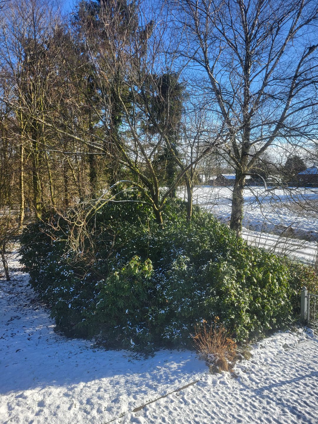  Nörderland Norden - 