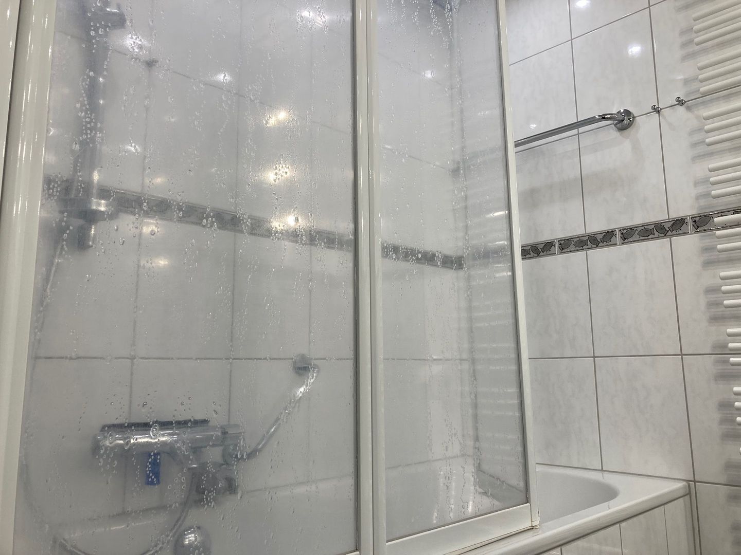 Berolina 118 - Morgensonne Dahme - Badezimmer