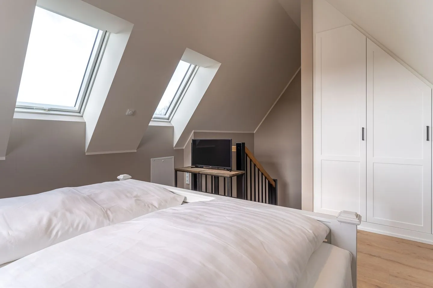 Hummergrund Echinus SPO Boehl - 