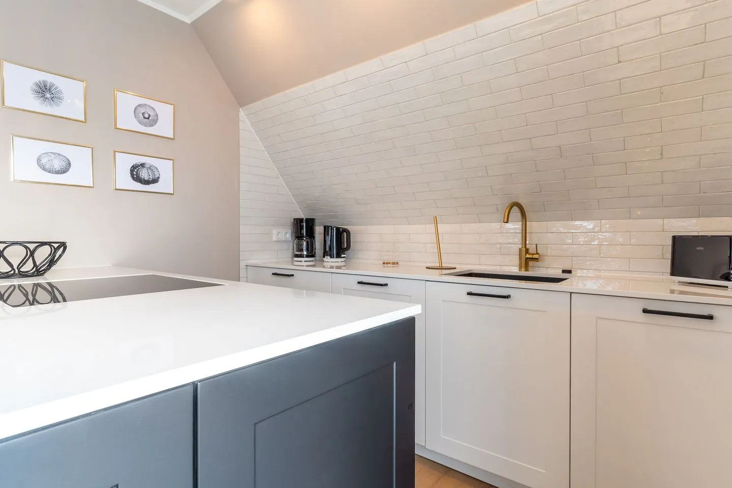 Hummergrund Echinus SPO Boehl - 