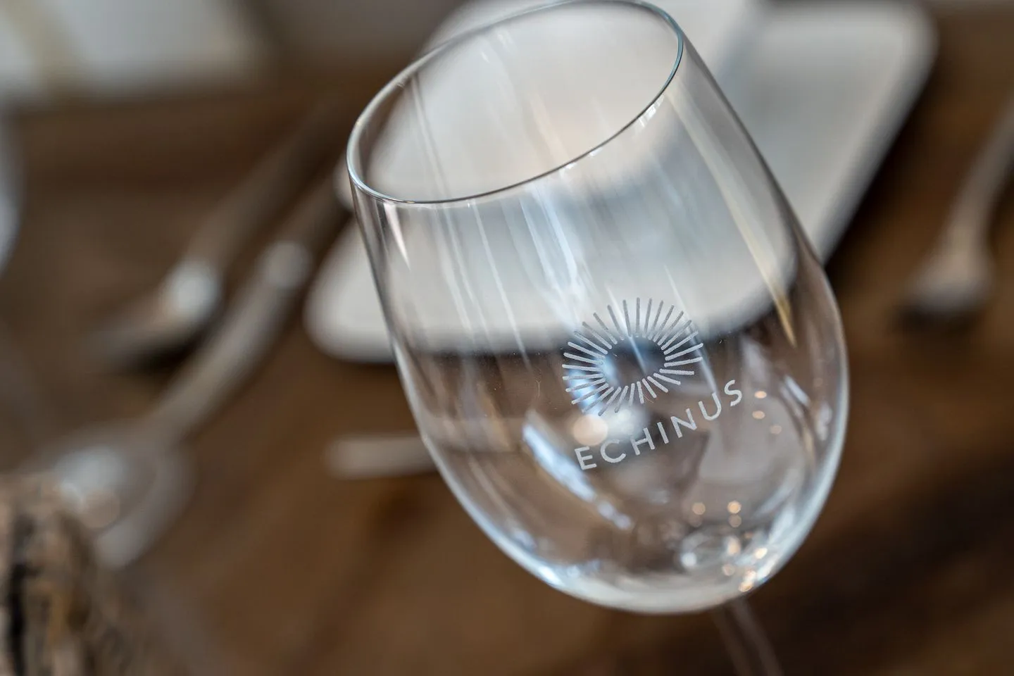 Hummergrund Echinus SPO Boehl - 