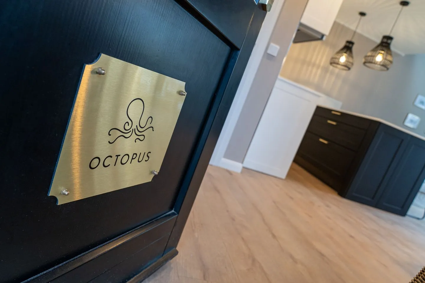 Hummergrund Octopus SPO Boehl - 