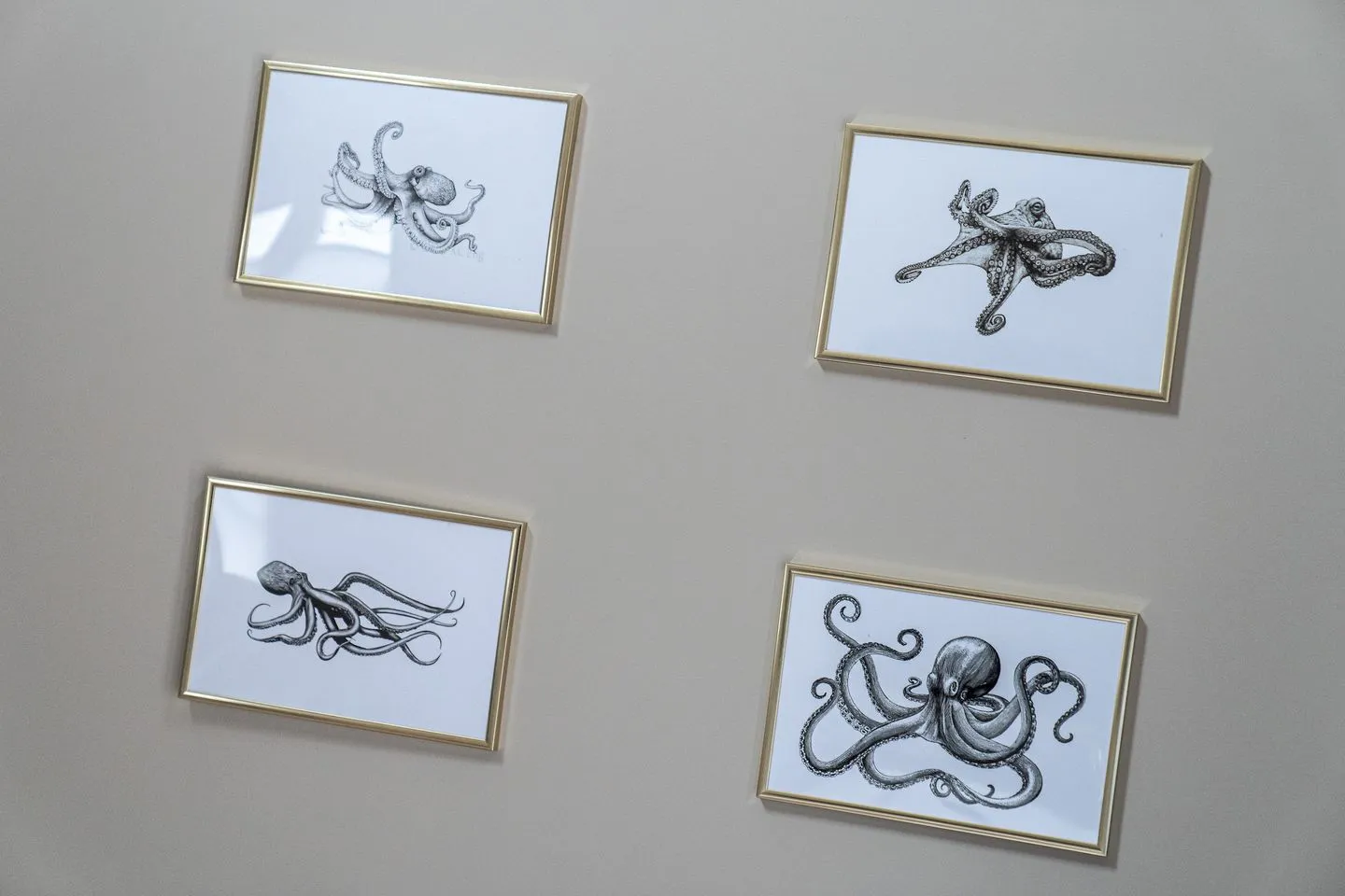 Hummergrund Octopus SPO Boehl - 