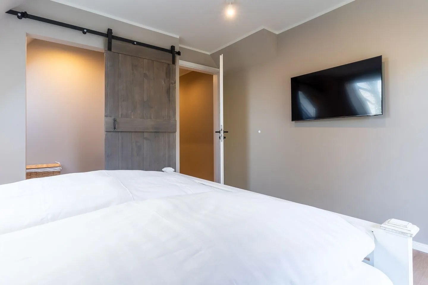 Hummergrund Pagurus SPO Boehl - 