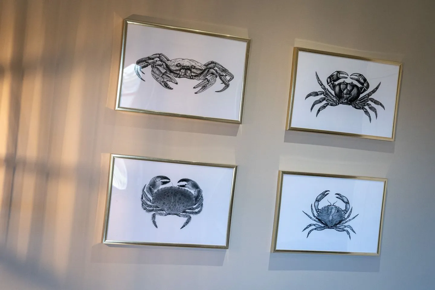 Hummergrund Pagurus SPO Boehl - 