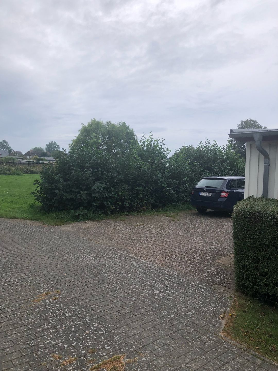  Mühlenstr. 19 Wg.2 Fischland-Darss-Zingst - 
