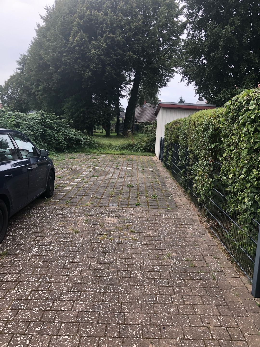  Mühlenstr. 19 Wg.2 Fischland-Darss-Zingst - 