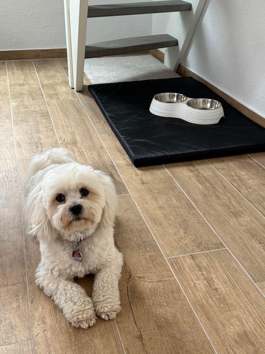  Ferienhaus Maya Am Yachthafen 105 Harlesiel - 