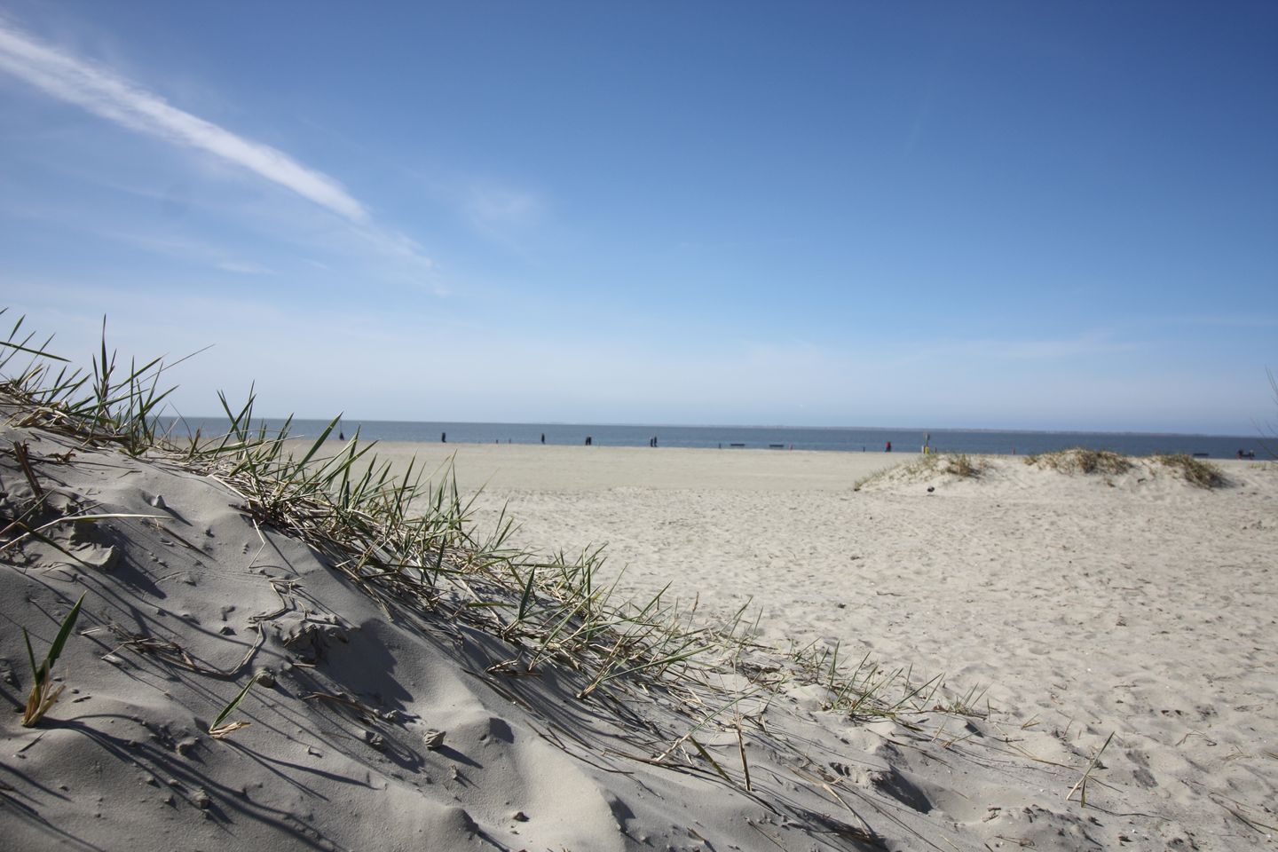  Ferienhaus Wischer Norddeich - 