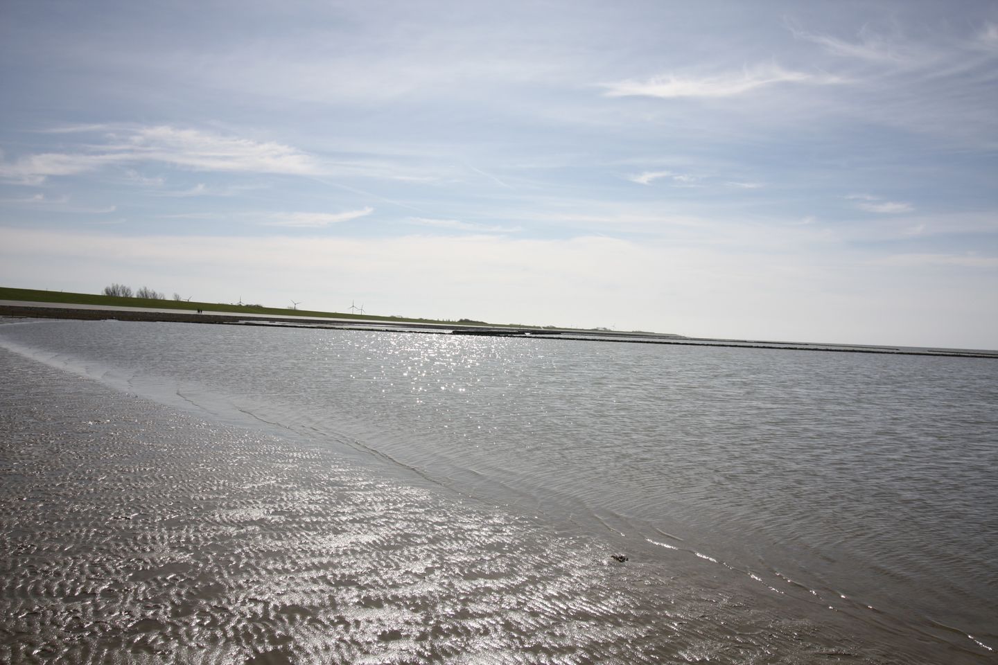  Ferienhaus Wischer Norddeich - 