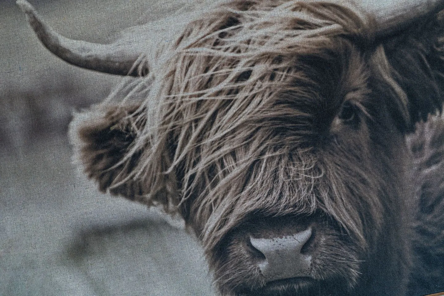 Friesenhof Dreilanden Friesenhof App. 4 Seesternchen SPO Ording - 