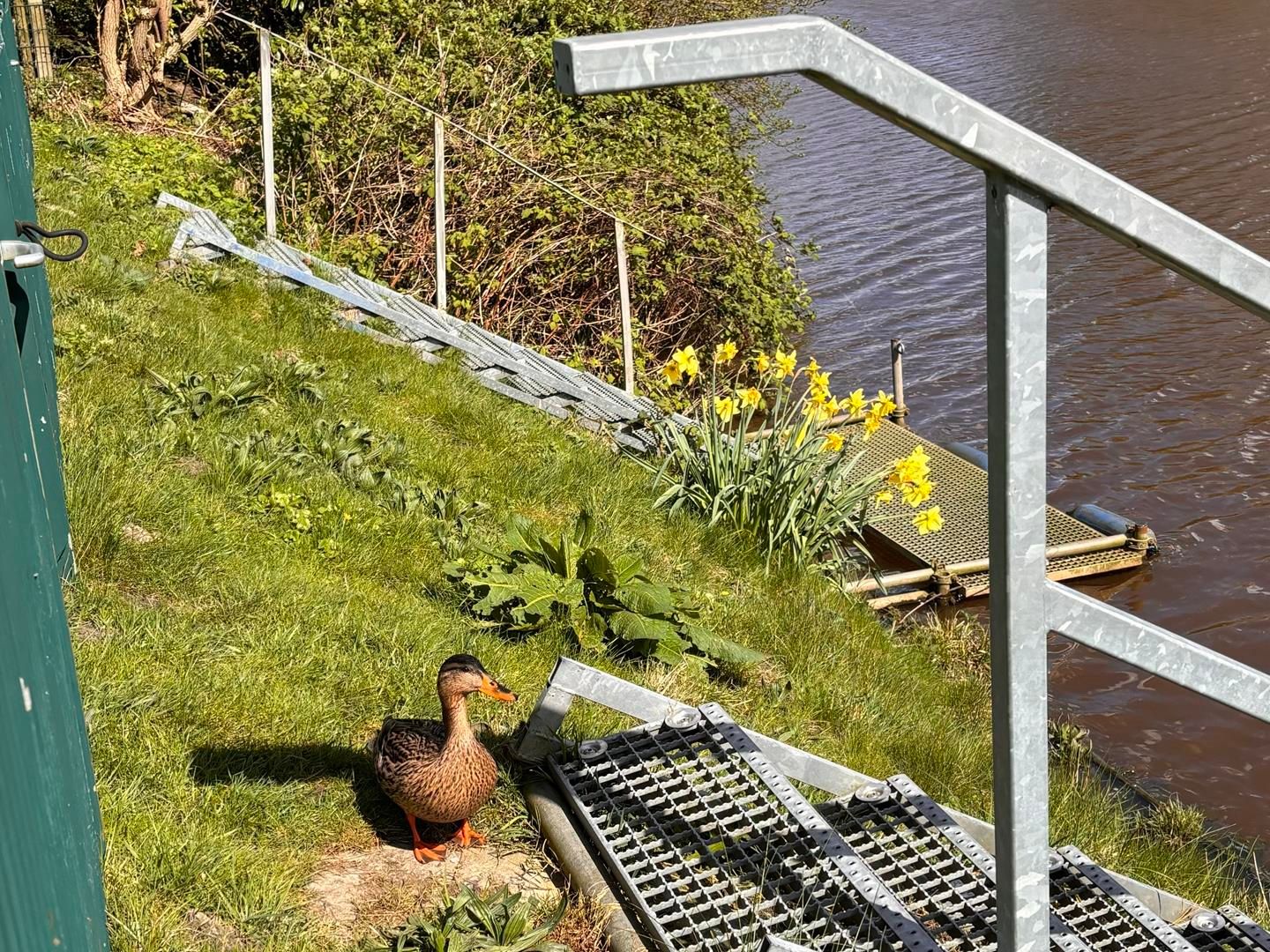  Ferienhaus Wittmunder Str. 31 C Carolinensiel - 