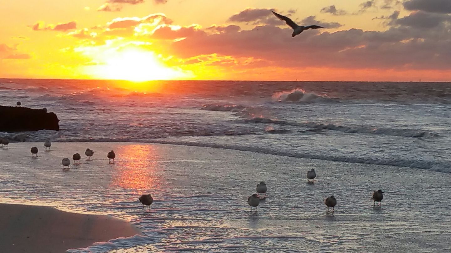  Haus Christine Wohnung 2 Sanddüne Norderney - Strand