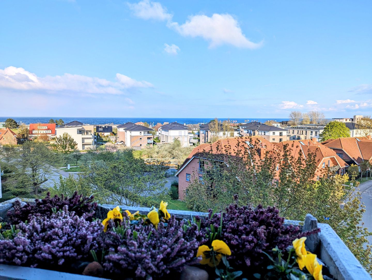  Berolina 415 - Sunrise Dahme - Meerblick