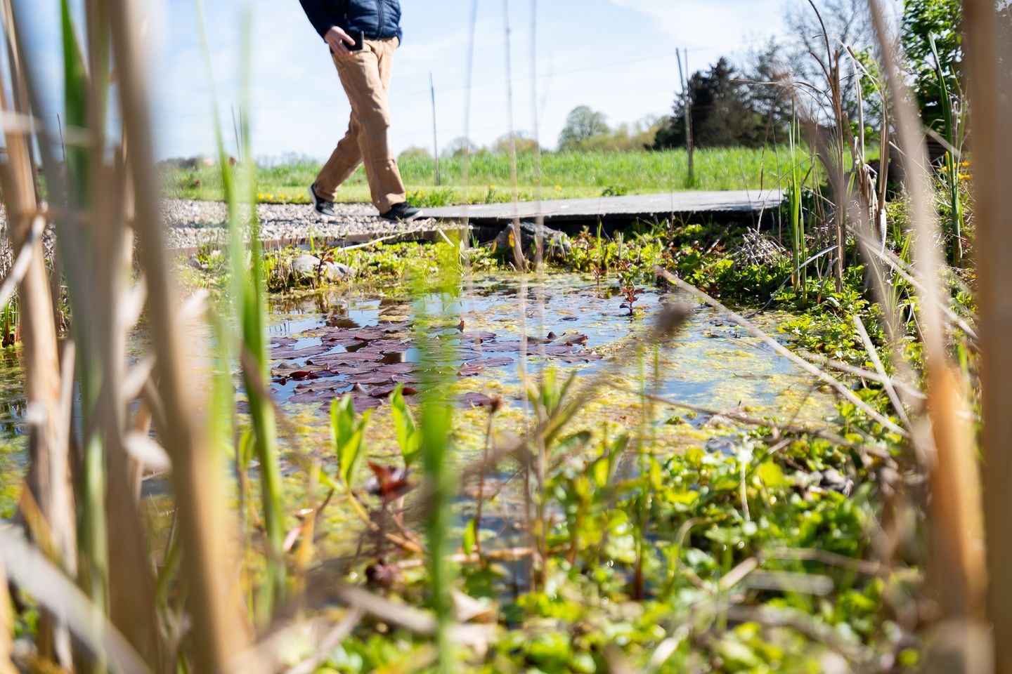  Lübsche Mühle Neustadt in Holstein - Garten