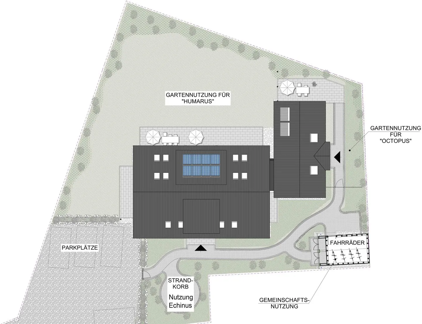 Hummergrund Echinus SPO Boehl - 