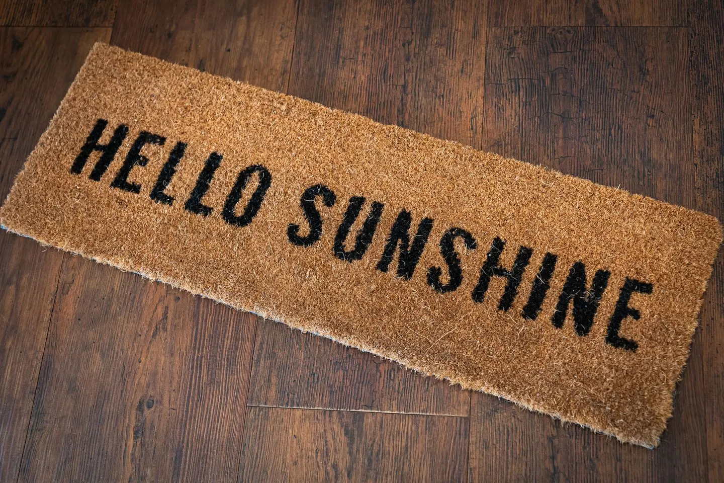 Buhne Buhne 1 SPO Ording - 