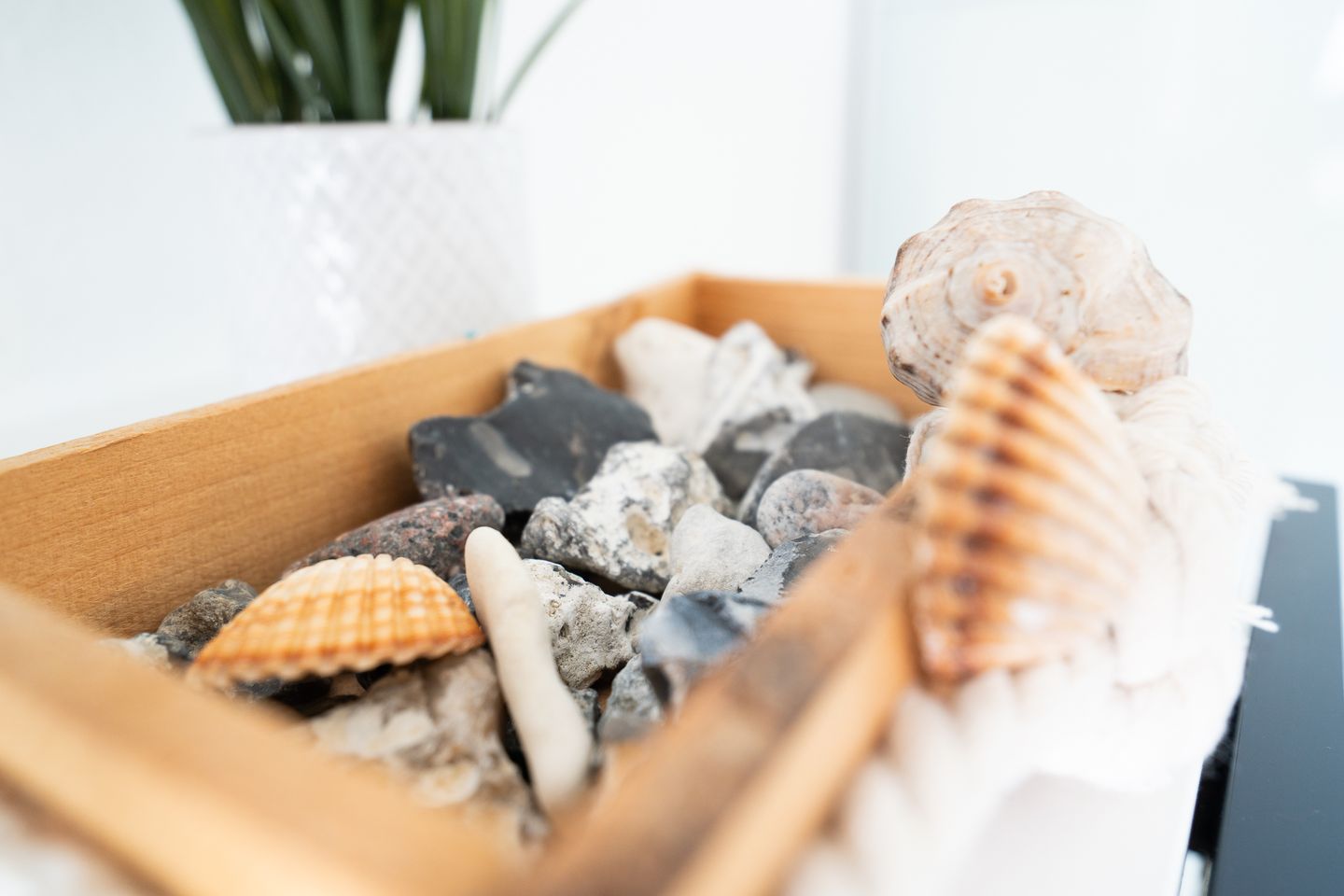 Ferienpark Sierksdorf App.463 - Strandlage Sierksdorf - Dekoratives Detail