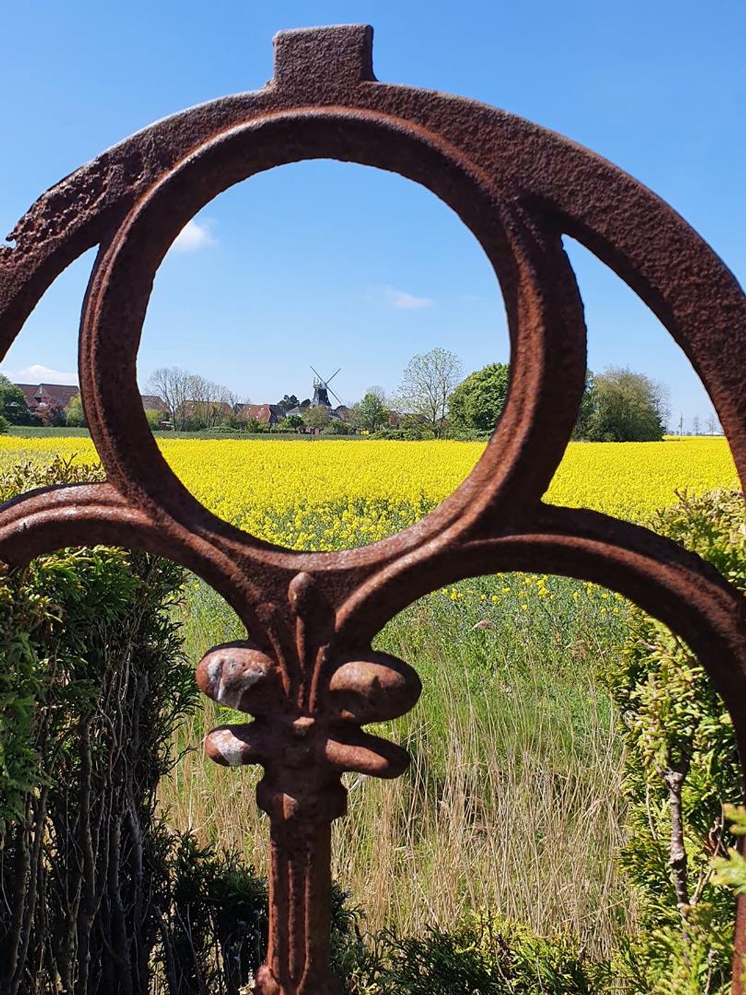  Ferienhaus Mühlenblick 41 Nr. 2 Carolinensiel - 
