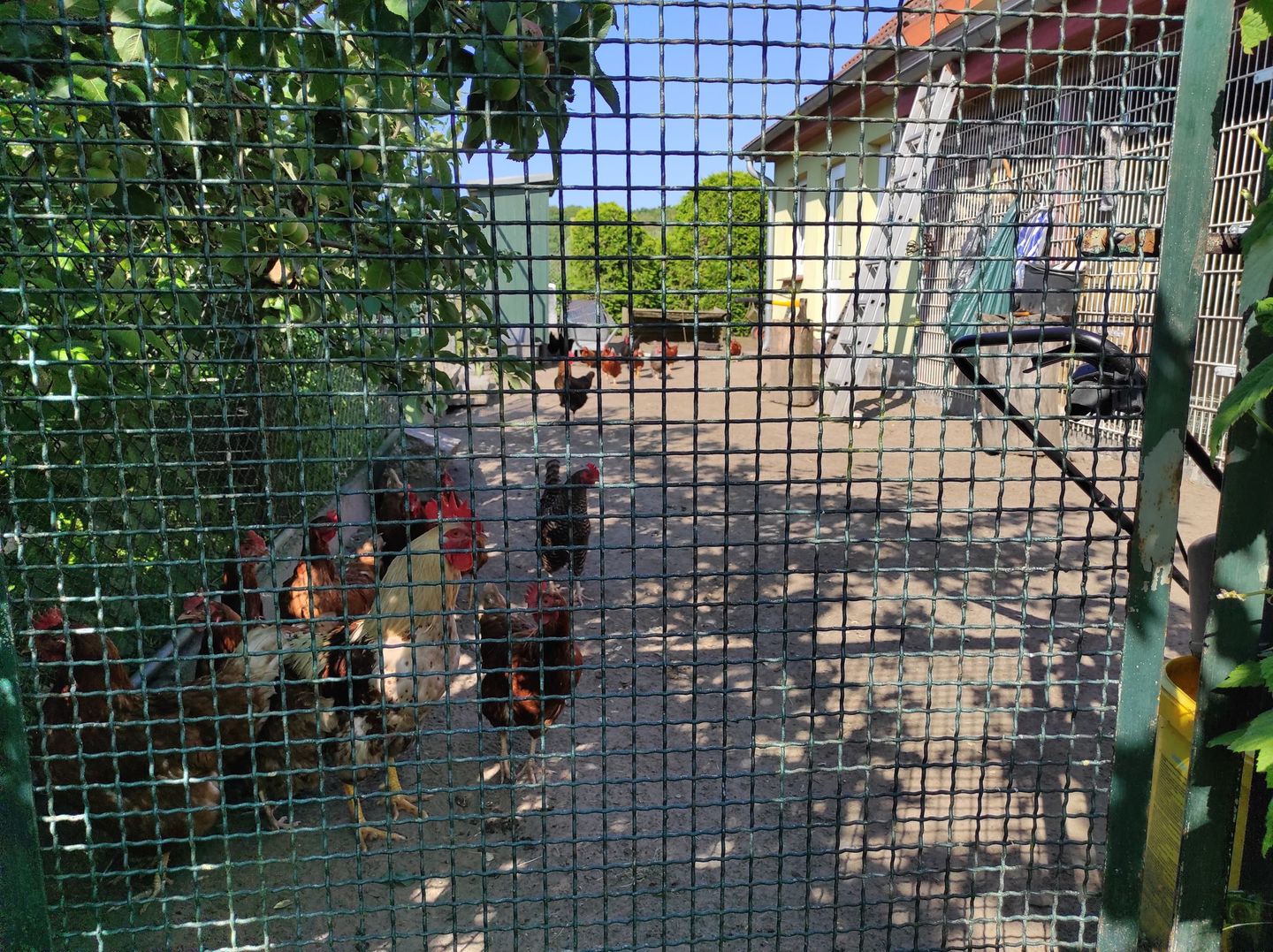  FeWo in Barth "Am Galgenberg 6" Fischland-Darss-Zingst - 