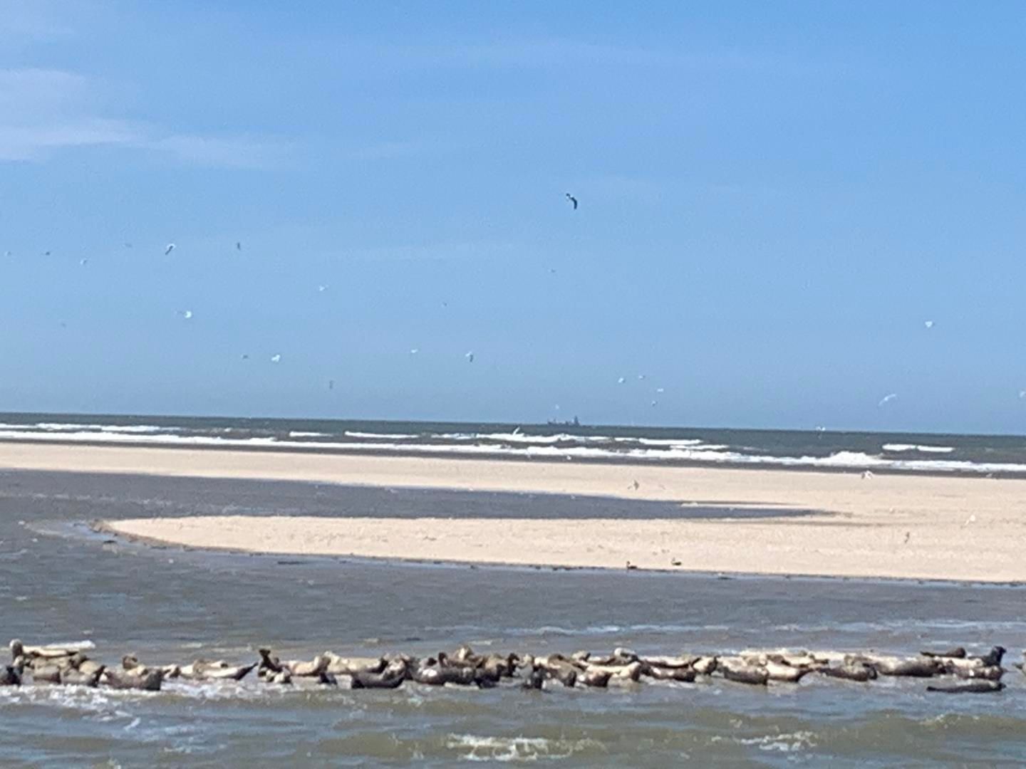  Ferienhaus "MeerZeit" Krabbenpadd 9b Carolinensiel - 