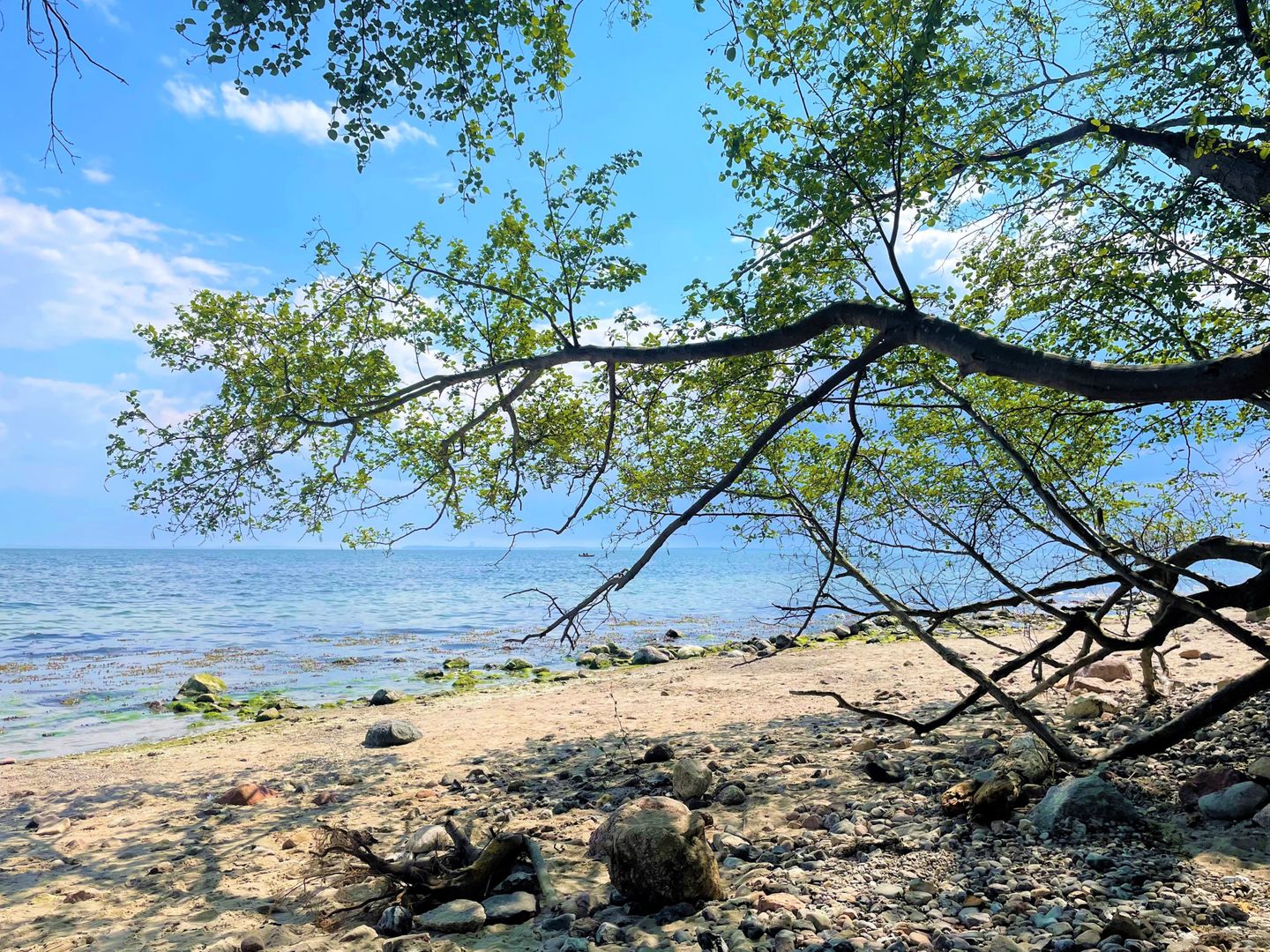 Panoramic Auszeit mit Meerblick Sierksdorf - Landschaft