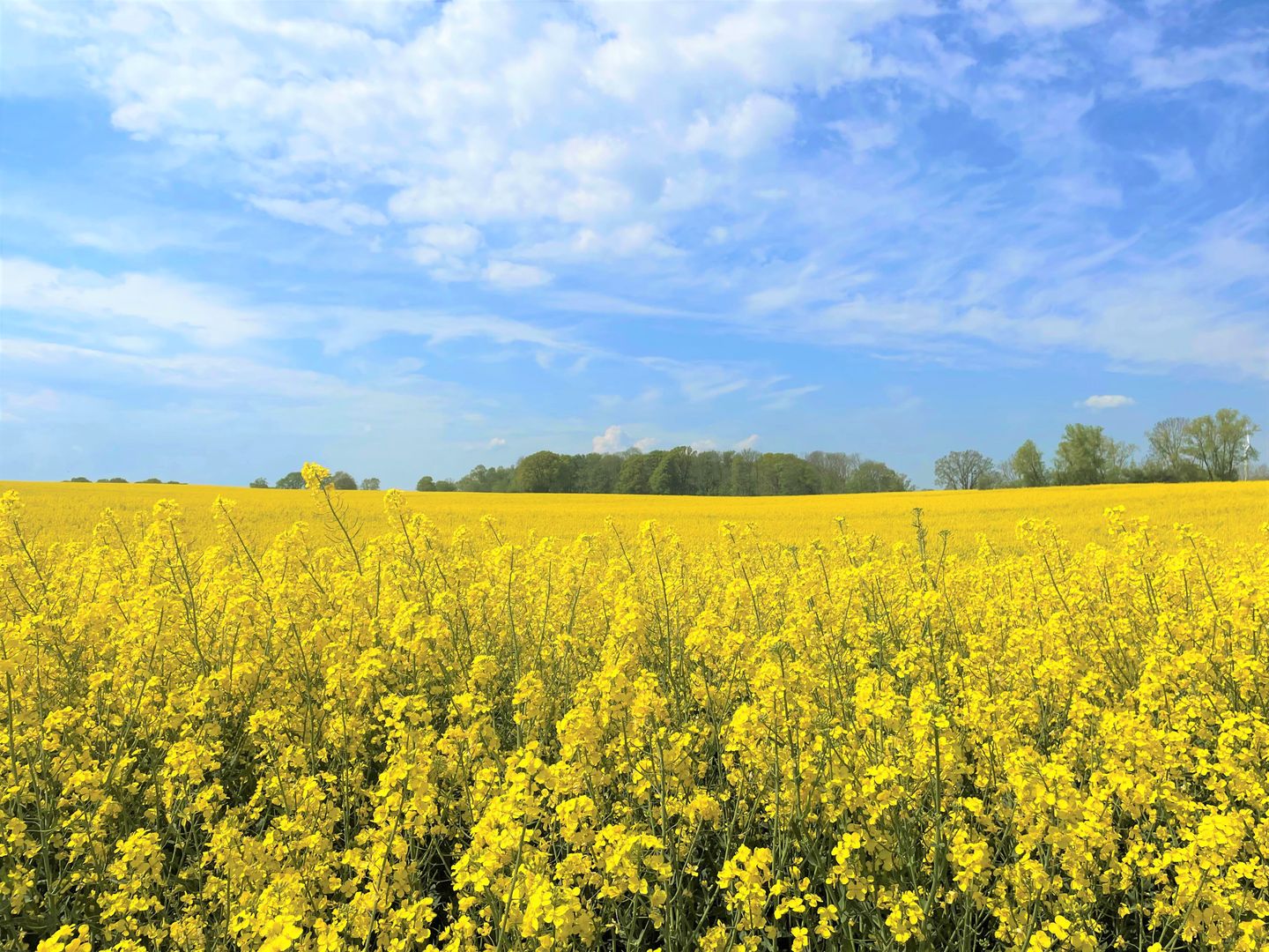 Panoramic Auszeit mit Meerblick Sierksdorf - Landschaft