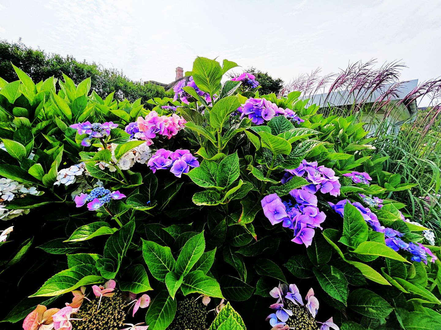  Sölring Droom App. 01 Süderwung 10 Wenningstedt - 