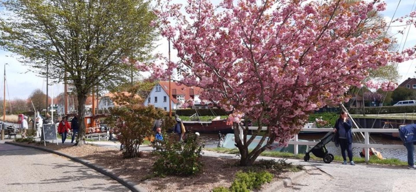  Ferienwohnung Möwenweg 17 Carolinensiel - 