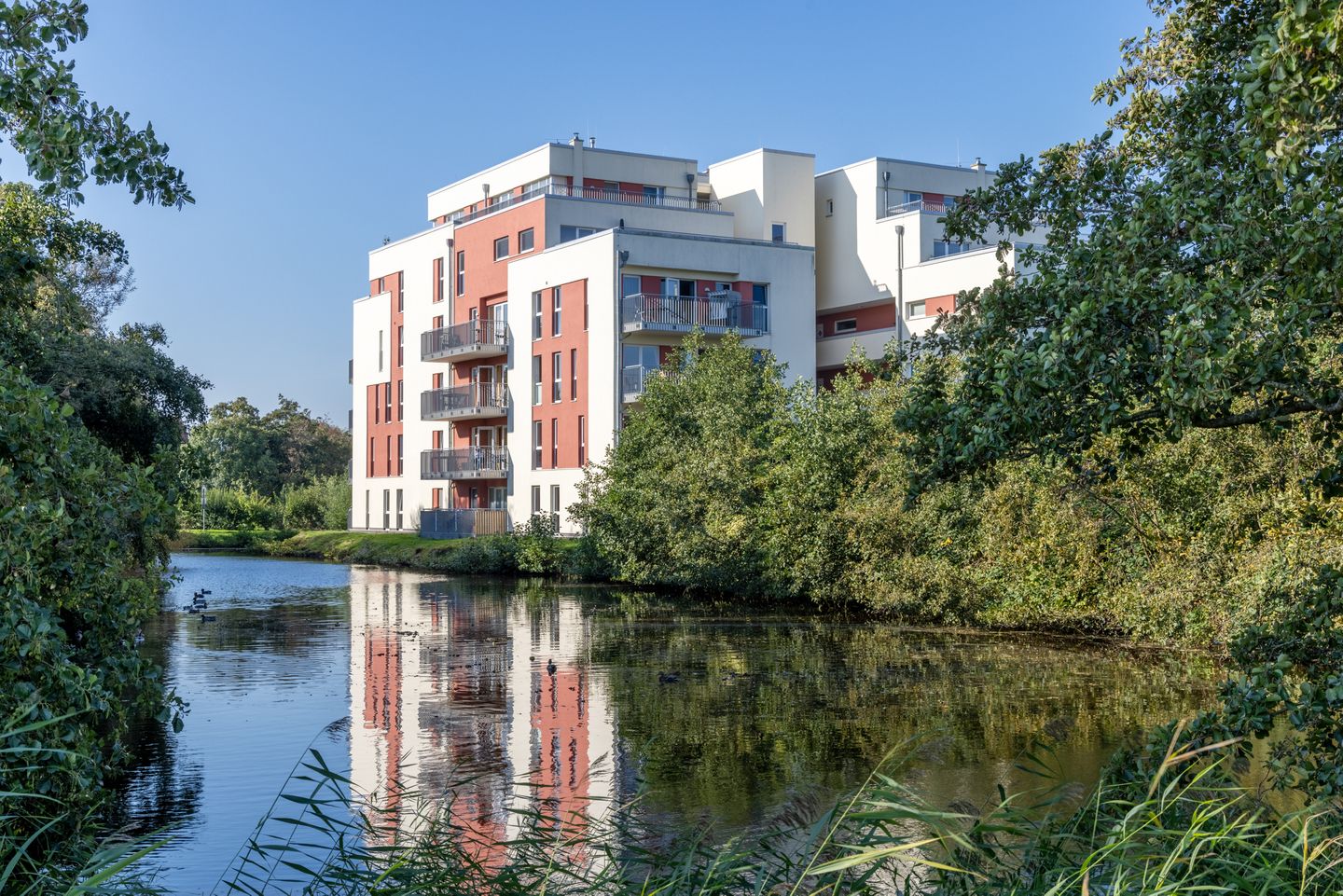  NordseeResort Friesland Schillig - NordseeResort Friesland