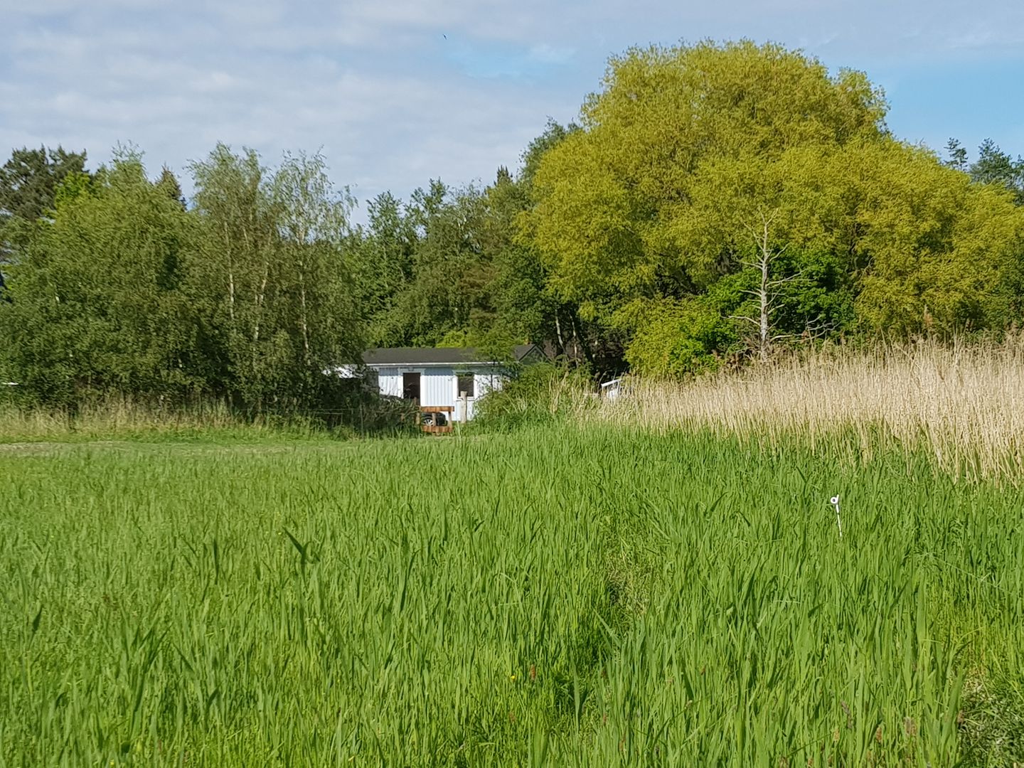  Haus Wellenrauschen Fischland-Darss-Zingst - 