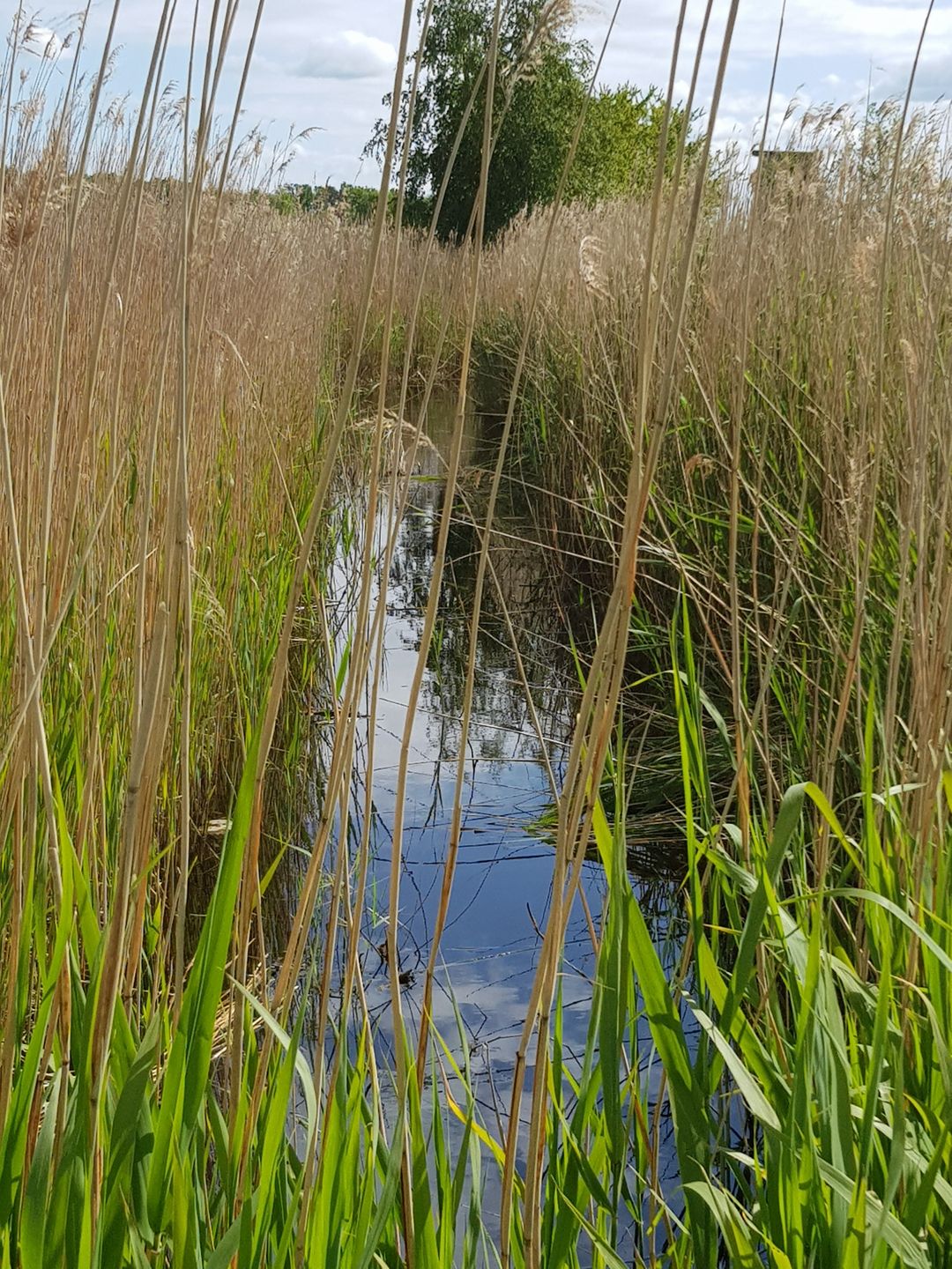  Haus Wellenrauschen Fischland-Darss-Zingst - 