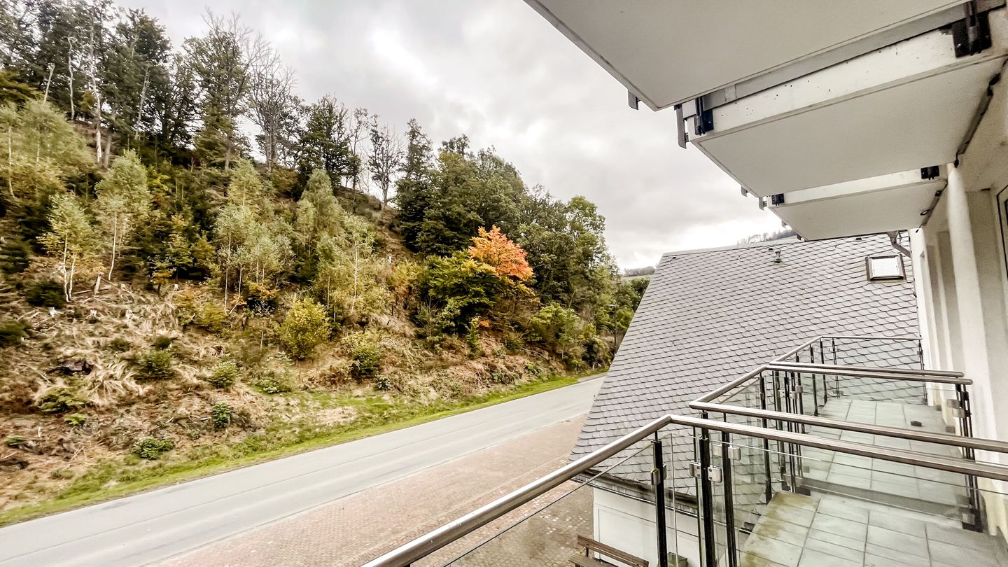 Smart Resorts B&B 1 BB1 122 Winterberg - Züschen - Nachbarschaft