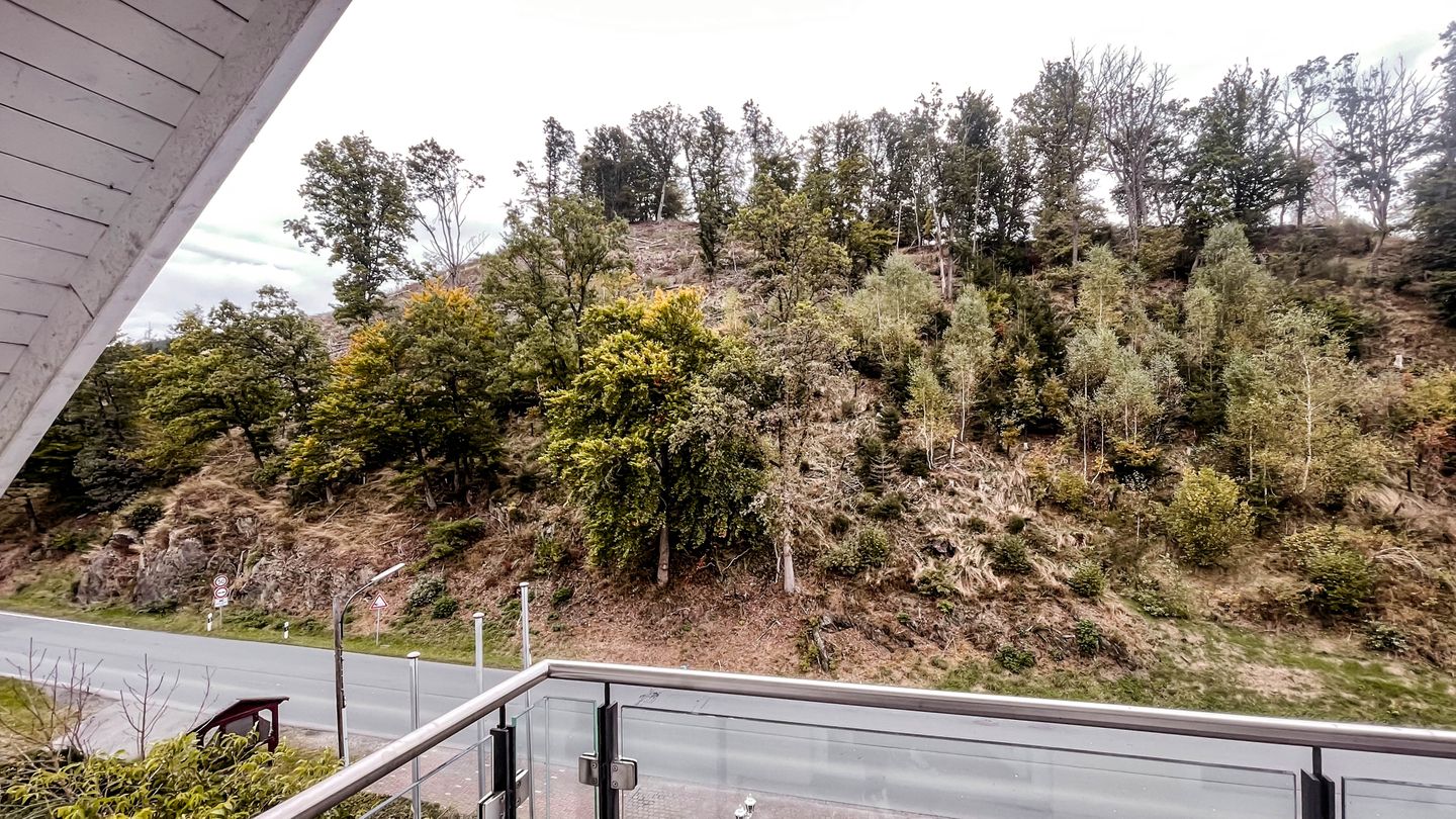 Smart Resorts B&B 1 BB1 131 Winterberg - Züschen - Landschaft