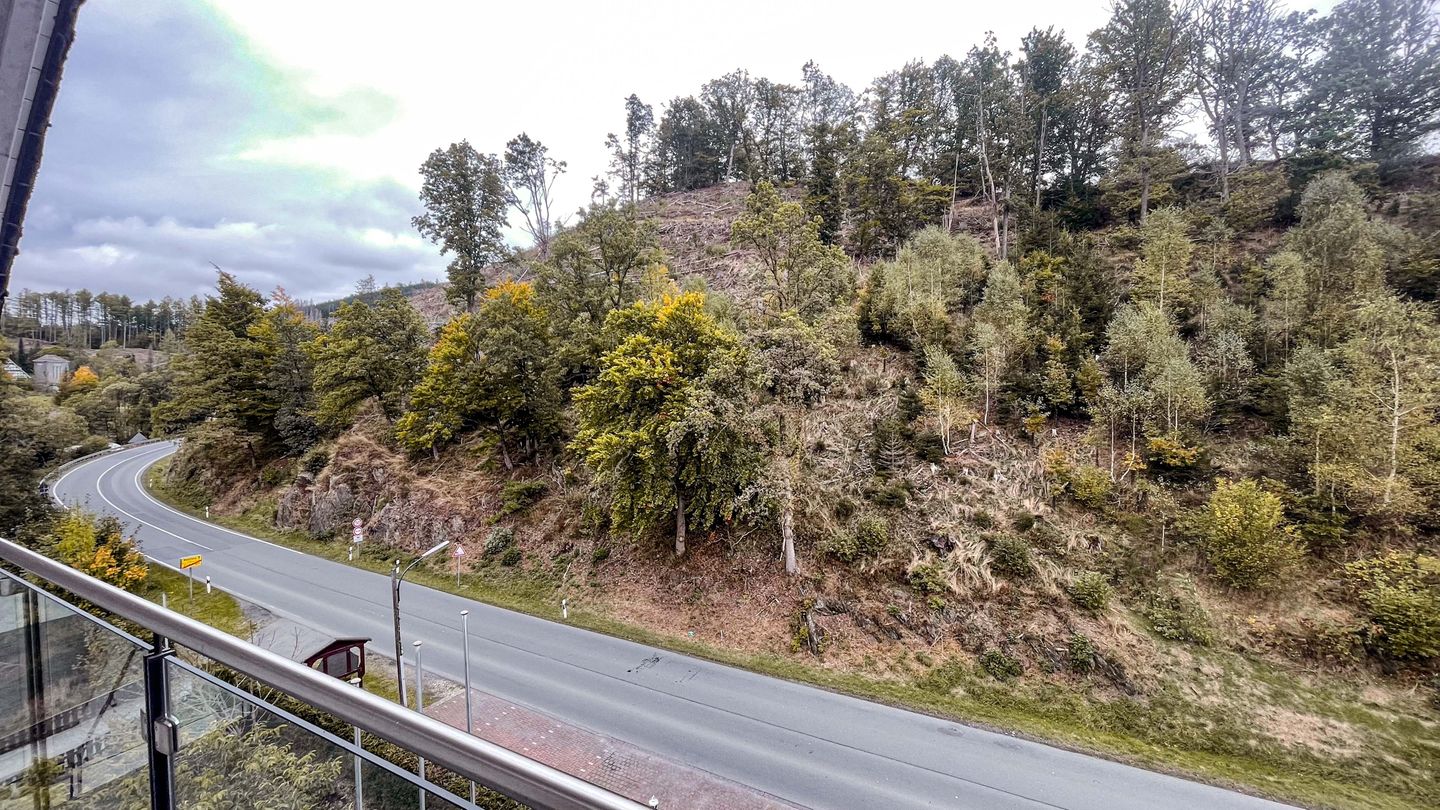 Smart Resorts B&B 1 BB1 132 Winterberg - Züschen - Landschaft