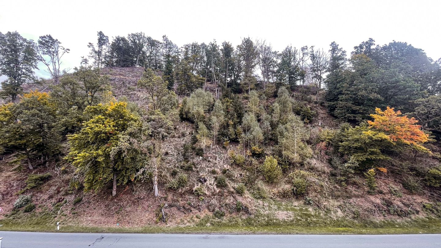 Smart Resorts B&B 1 BB1 132 Winterberg - Züschen - Berge