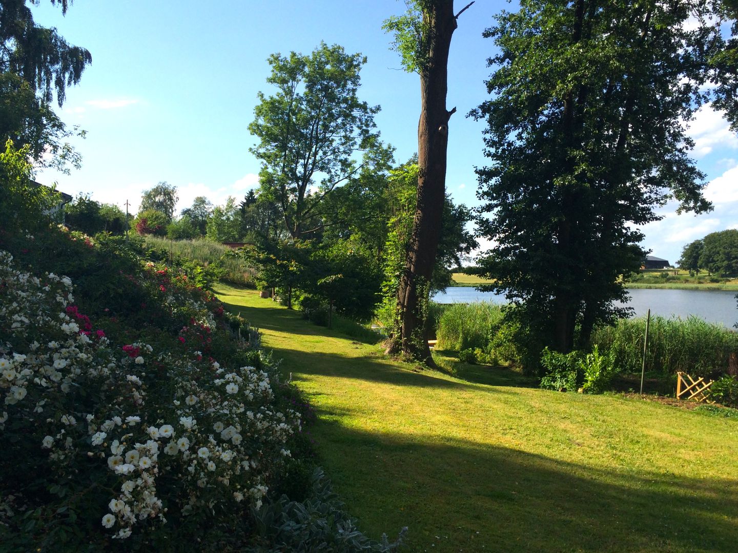  Haus Krähennest Scharbeutz - Gartenblick